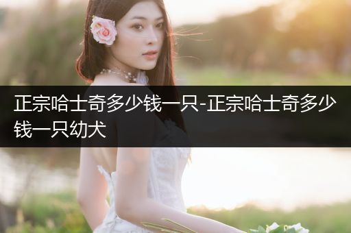 正宗哈士奇多少錢一只-正宗哈士奇多少錢一只幼犬