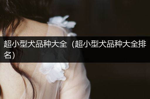 超小型犬品種大全(超小型犬品種大全排名)