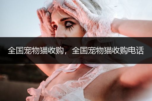 全國寵物貓收購，全國寵物貓收購電話