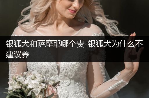 銀狐犬和薩摩耶哪個(gè)貴-銀狐犬為什么不建議養(yǎng)