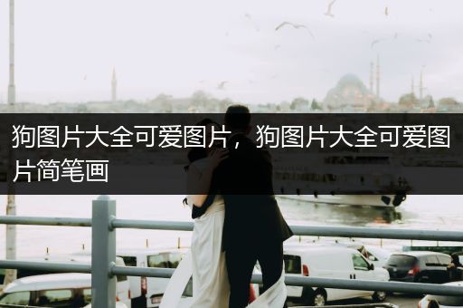 狗圖片大全可愛圖片，狗圖片大全可愛圖片簡筆畫