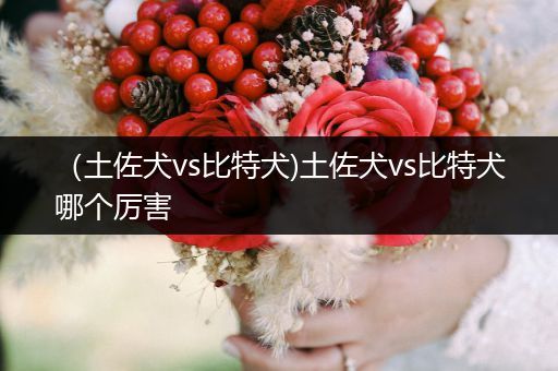 (土佐犬vs比特犬)土佐犬vs比特犬哪個(gè)厲害