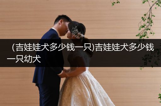 (吉娃娃犬多少錢(qián)一只)吉娃娃犬多少錢(qián)一只幼犬