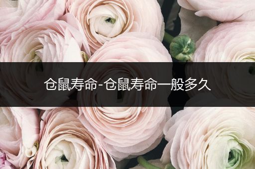 倉鼠壽命-倉鼠壽命一般多久
