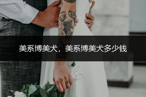 美系博美犬，美系博美犬多少錢
