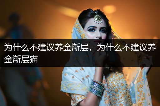 為什么不建議養(yǎng)金漸層,為什么不建議養(yǎng)金漸層貓