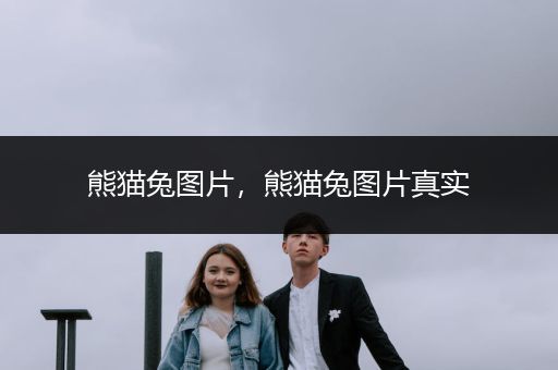 熊貓兔圖片，熊貓兔圖片真實(shí)