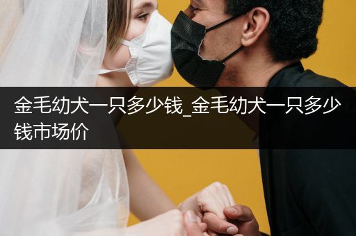 金毛幼犬一只多少錢_金毛幼犬一只多少錢市場(chǎng)價(jià)