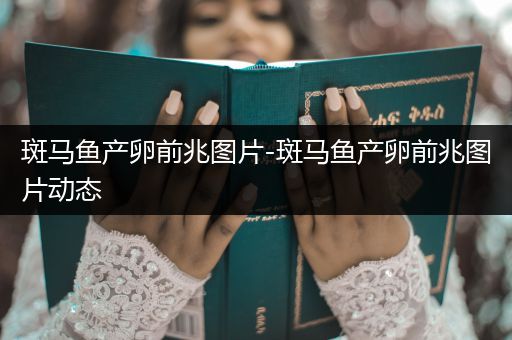 斑馬魚產(chǎn)卵前兆圖片-斑馬魚產(chǎn)卵前兆圖片動(dòng)態(tài)