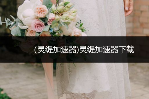 (靈緹加速器)靈緹加速器下載