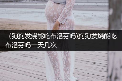 (狗狗發(fā)燒能吃布洛芬嗎)狗狗發(fā)燒能吃布洛芬嗎一天幾次