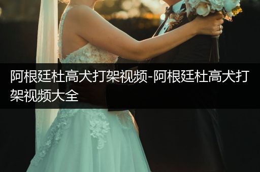 阿根廷杜高犬打架視頻-阿根廷杜高犬打架視頻大全