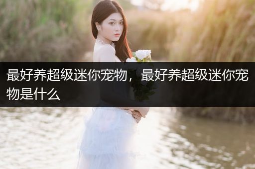 最好養(yǎng)超級(jí)迷你寵物，最好養(yǎng)超級(jí)迷你寵物是什么