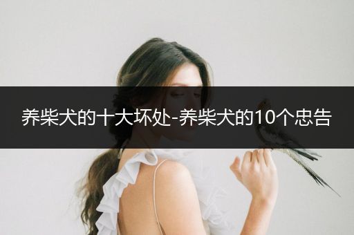 養(yǎng)柴犬的十大壞處-養(yǎng)柴犬的10個(gè)忠告