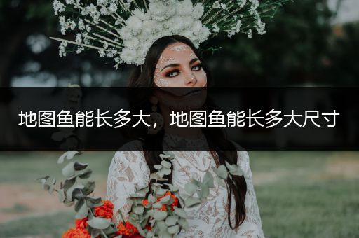 地圖魚能長多大，地圖魚能長多大尺寸