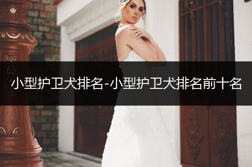 小型護(hù)衛(wèi)犬排名-小型護(hù)衛(wèi)犬排名前十名