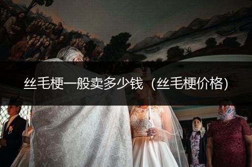 絲毛梗一般賣多少錢（絲毛梗價格）