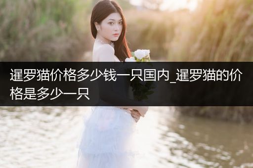 暹羅貓價格多少錢一只國內(nèi)_暹羅貓的價格是多少一只