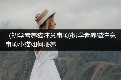 (初學者養(yǎng)貓注意事項)初學者養(yǎng)貓注意事項小貓如何喂養(yǎng)