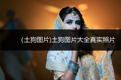 (土狗圖片)土狗圖片大全真實(shí)照片