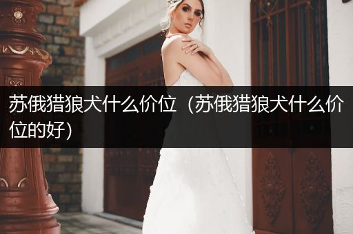 蘇俄獵狼犬什么價(jià)位（蘇俄獵狼犬什么價(jià)位的好）