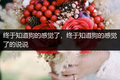 終于知道狗的感覺了，終于知道狗的感覺了的說說