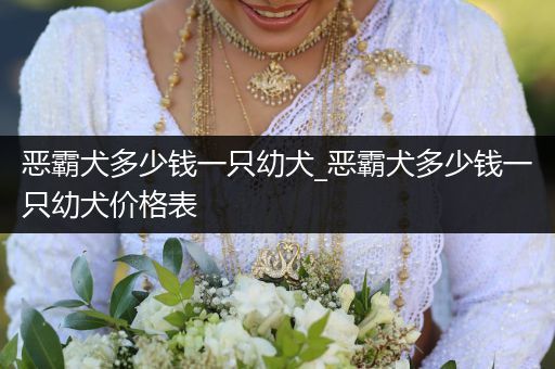 惡霸犬多少錢一只幼犬_惡霸犬多少錢一只幼犬價格表