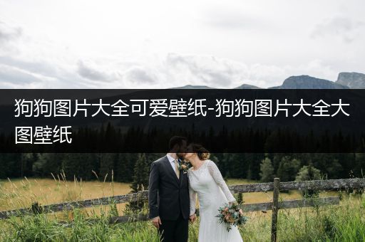 狗狗圖片大全可愛(ài)壁紙-狗狗圖片大全大圖壁紙