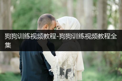 狗狗訓(xùn)練視頻教程-狗狗訓(xùn)練視頻教程全集