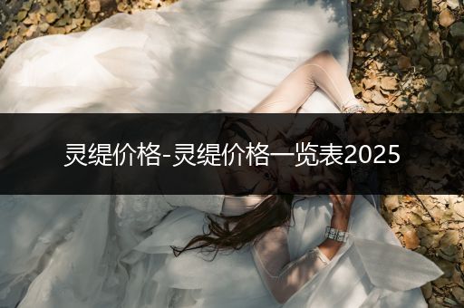靈緹價格-靈緹價格一覽表2025
