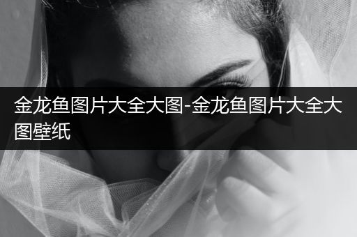 金龍魚圖片大全大圖-金龍魚圖片大全大圖壁紙