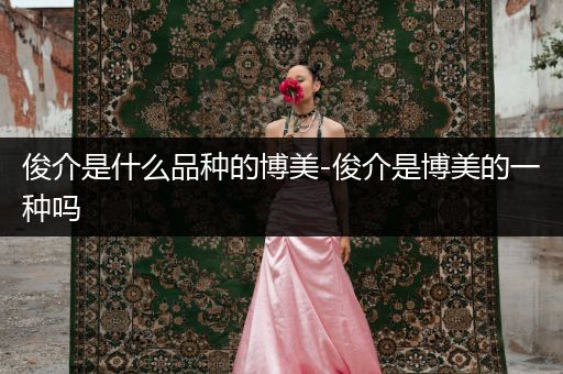 俊介是什么品種的博美-俊介是博美的一種嗎