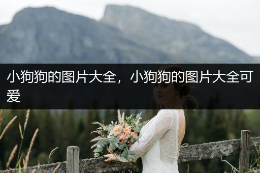 小狗狗的圖片大全,小狗狗的圖片大全可愛