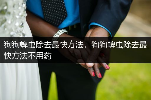 狗狗蜱蟲(chóng)除去最快方法，狗狗蜱蟲(chóng)除去最快方法不用藥
