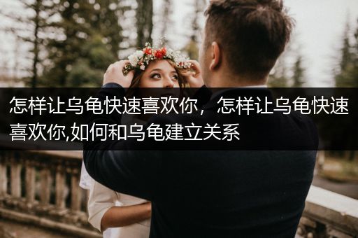 怎樣讓烏龜快速喜歡你，怎樣讓烏龜快速喜歡你,如何和烏龜建立關系