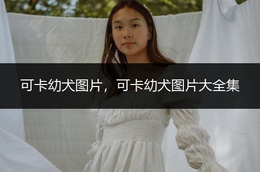 可卡幼犬圖片，可卡幼犬圖片大全集