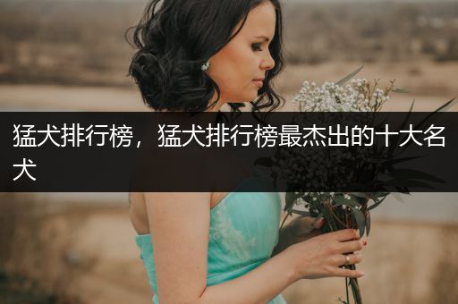 猛犬排行榜，猛犬排行榜最杰出的十大名犬