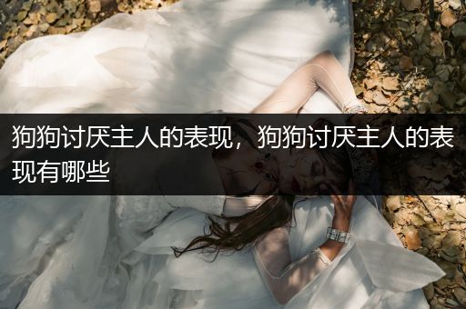 狗狗討厭主人的表現(xiàn)，狗狗討厭主人的表現(xiàn)有哪些