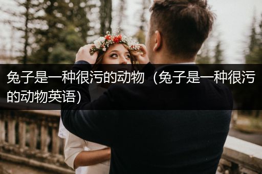 兔子是一種很污的動物（兔子是一種很污的動物英語）