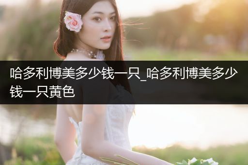 哈多利博美多少錢一只_哈多利博美多少錢一只黃色