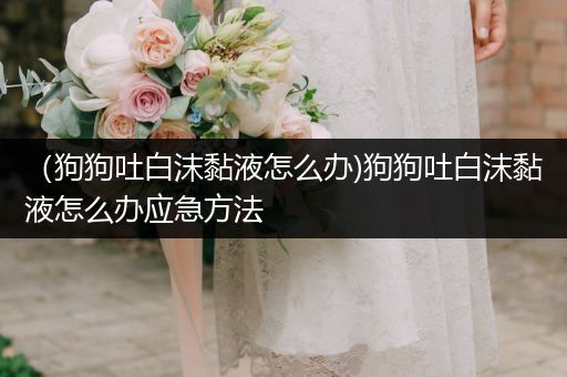 （狗狗吐白沫黏液怎么辦)狗狗吐白沫黏液怎么辦應(yīng)急方法