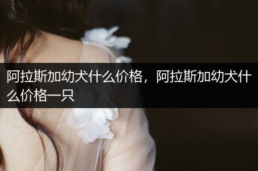 阿拉斯加幼犬什么價(jià)格，阿拉斯加幼犬什么價(jià)格一只