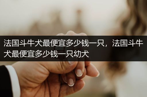 法國斗牛犬最便宜多少錢一只,法國斗牛犬最便宜多少錢一只幼犬