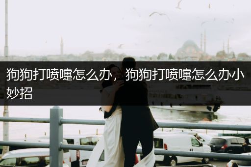 狗狗打噴嚏怎么辦，狗狗打噴嚏怎么辦小妙招