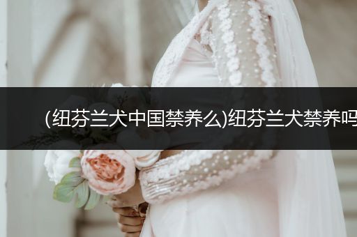 （紐芬蘭犬中國(guó)禁養(yǎng)么)紐芬蘭犬禁養(yǎng)嗎