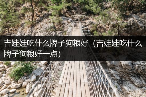 吉娃娃吃什么牌子狗糧好（吉娃娃吃什么牌子狗糧好一點）