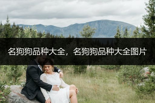 名狗狗品種大全,名狗狗品種大全圖片