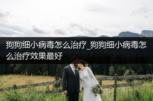 狗狗細小病毒怎么治療_狗狗細小病毒怎么治療效果最好