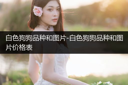 白色狗狗品種和圖片-白色狗狗品種和圖片價格表