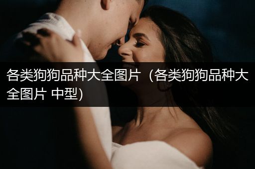 各類狗狗品種大全圖片（各類狗狗品種大全圖片 中型）